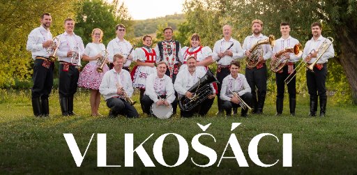 Vlkošáci